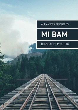 Alexander Nevzorov Mi BAM Dusse-Alin, 1980-1982 обложка книги