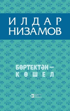 Ильдар Низамов Бөртектән – көшел (җыентык) обложка книги
