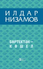 Ильдар Низамов - Бөртектән – көшел (җыентык)