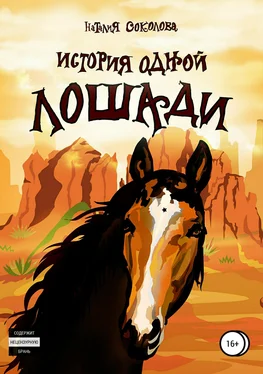 Наталия Соколова История одной лошади обложка книги