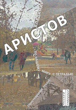 Владимир Аристов По нашему миру с тетрадью. Простодушные стихи обложка книги