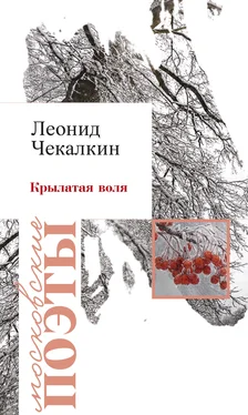 Леонид Чекалкин Крылатая воля (сборник) обложка книги