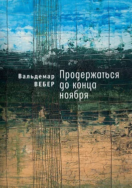 Вальдемар Вебер Продержаться до конца ноября обложка книги