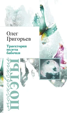 Олег Григорьев Траектория полета бабочки (сборник) обложка книги