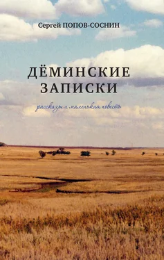 Сергей Попов-Соснин Дёминские записки (сборник) обложка книги