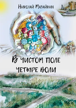 Николай Мазайкин В чистом поле четыре воли обложка книги