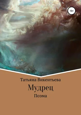 Татьяна Викентьева Мудрец обложка книги