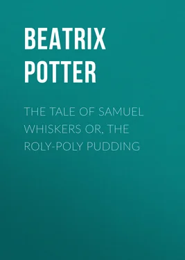 Беатрис Поттер The Tale of Samuel Whiskers or, The Roly-Poly Pudding обложка книги