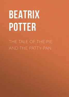 Беатрис Поттер The Tale of the Pie and the Patty-Pan обложка книги