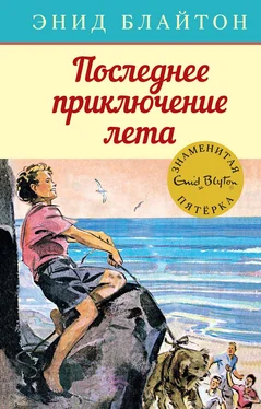 Энид Блайтон Последнее приключение лета обложка книги