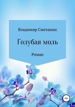 Владимир Сметанин Голубая моль обложка книги