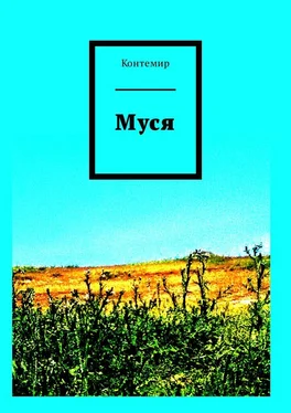 Контемир Муся обложка книги