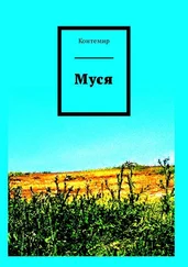 Контемир - Муся