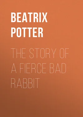 Беатрис Поттер The Story of a Fierce Bad Rabbit обложка книги