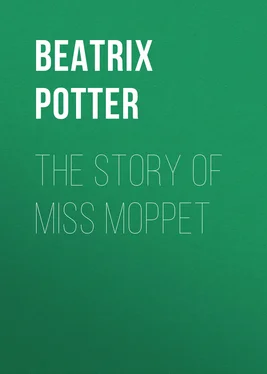 Беатрис Поттер The Story of Miss Moppet обложка книги