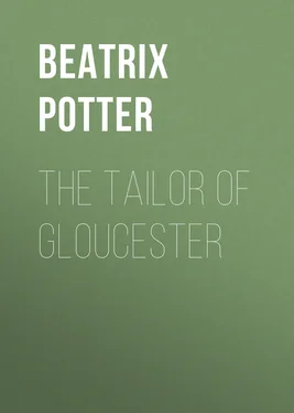 Беатрис Поттер The Tailor of Gloucester обложка книги