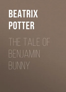 Беатрис Поттер The Tale of Benjamin Bunny обложка книги