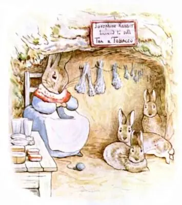 FOR THE CHILDREN OF SAWREY FROM OLD MR BUNNY One morning a little rabbit sat - фото 1