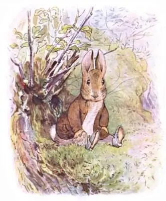 One morning a little rabbit sat on a bank He pricked his ears and listened to - фото 2