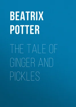 Беатрис Поттер The Tale of Ginger and Pickles обложка книги