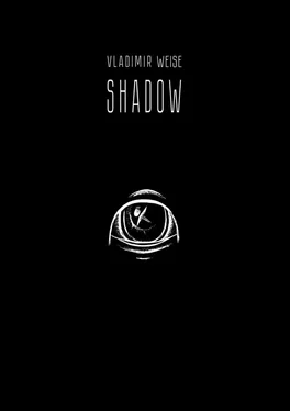 Vladimir Weise Shadow обложка книги