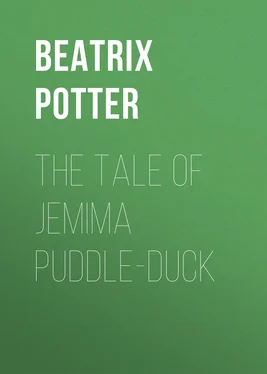 Беатрис Поттер The Tale of Jemima Puddle-Duck обложка книги