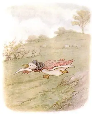 Jemima Puddleduck was not much in the habit of flying She ran downhill a few - фото 6