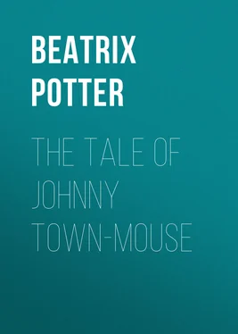 Беатрис Поттер The Tale of Johnny Town-Mouse обложка книги