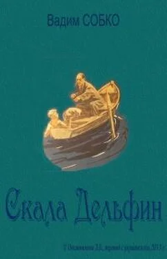 Вадим Собко Скала Дельфин обложка книги