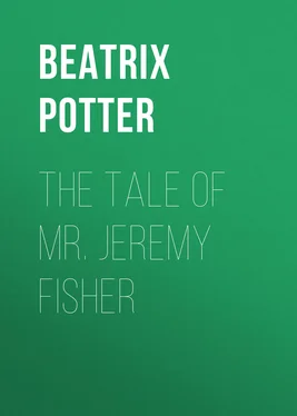 Беатрис Поттер The Tale of Mr. Jeremy Fisher обложка книги