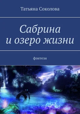 Татьяна Соколова Сабрина и озеро жизни. Фэнтези обложка книги