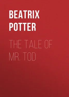 Беатрис Поттер The Tale of Mr. Tod обложка книги