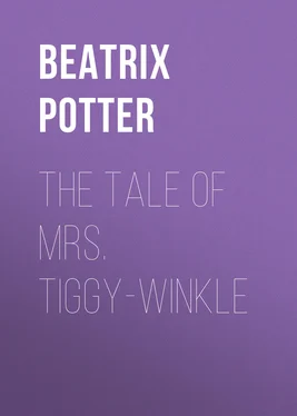 Беатрис Поттер The Tale of Mrs. Tiggy-Winkle обложка книги