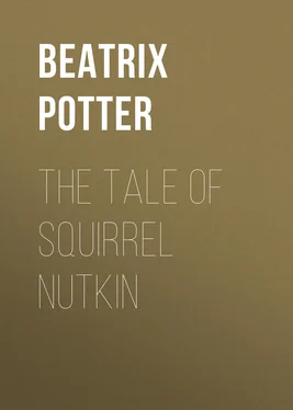 Беатрис Поттер The Tale of Squirrel Nutkin обложка книги