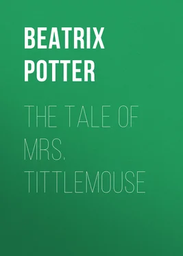 Беатрис Поттер The Tale of Mrs. Tittlemouse обложка книги