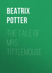 Беатрис Поттер - The Tale of Mrs. Tittlemouse
