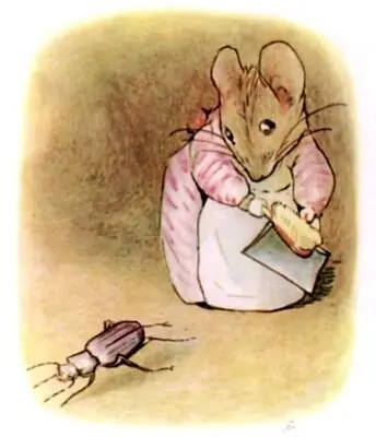 Mrs Tittlemouse was a most terribly tidy particular little mouse always - фото 4