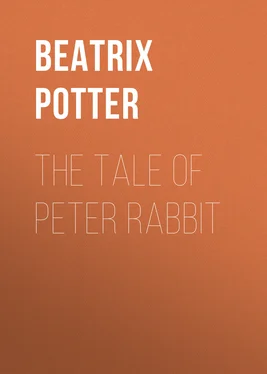 Беатрис Поттер The Tale of Peter Rabbit обложка книги