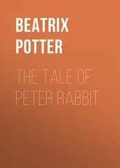 Беатрис Поттер - The Tale of Peter Rabbit