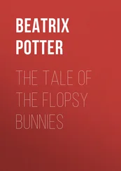 Беатрис Поттер - The Tale of the Flopsy Bunnies