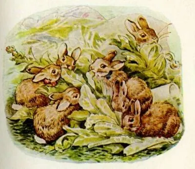 The Flopsy Bunnies simply stuffed lettuces By degrees one after another they - фото 6