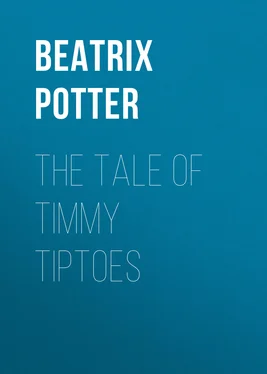 Беатрис Поттер The Tale of Timmy Tiptoes обложка книги