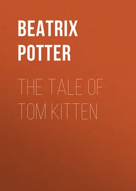 Беатрис Поттер The Tale of Tom Kitten обложка книги