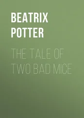 Беатрис Поттер - The Tale of Two Bad Mice