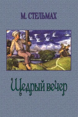 Михаил Стельмах Щедрый вечер обложка книги