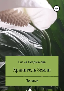 Елена Позднякова Хранитель Земли обложка книги