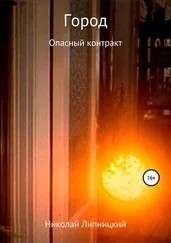 Николай Липницкий - Город. Опасный контракт
