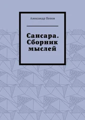 Александр Попов - Сансара. Сборник мыслей