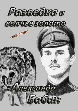 Александр Бабин Разведка и волчье золото обложка книги