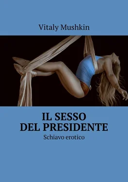 Vitaly Mushkin Il sesso del presidente. Schiavo erotico обложка книги